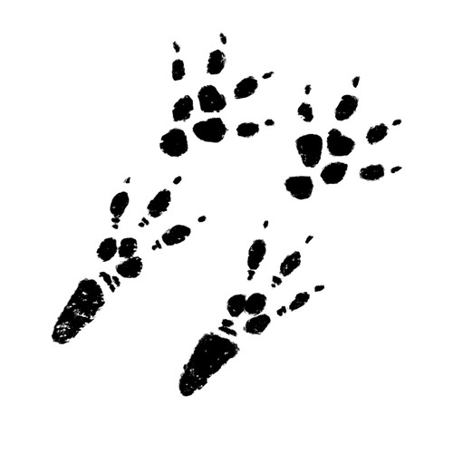 Picsart 24 05 04 17 04 43 635.jpg