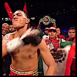 GIF 5 5 2024 12 39 10 AM.gif