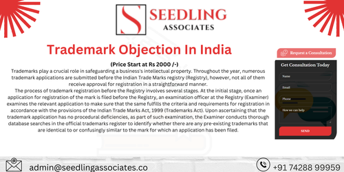 Trademark Objection in India.png