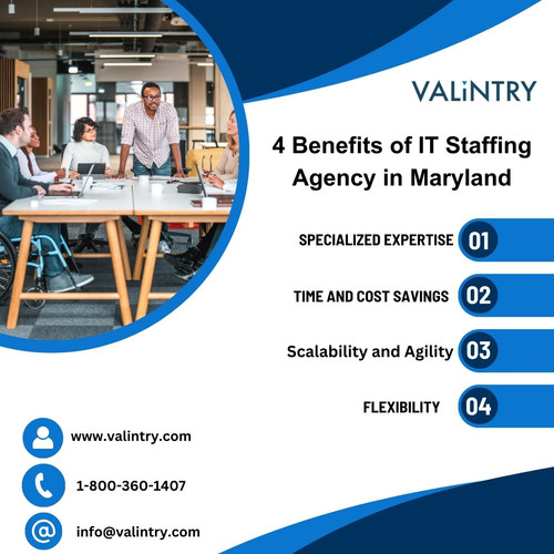 IT Staffing Agency in Maryland.jpg