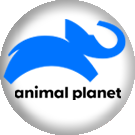animalplanet big copy.png