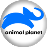 animalplanet big copy