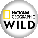 natgeowild big copy.png