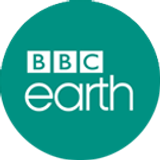 bbcearth big copy
