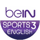 beinengwc3 big copy.png