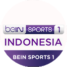 beinindo1 big copy.png