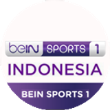 beinindo1 big copy