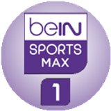 beinmax1 big copy