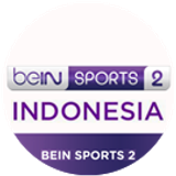 beinindo2 big copy