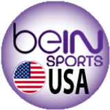 beinusa big copy