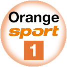 orange1 big copy.png