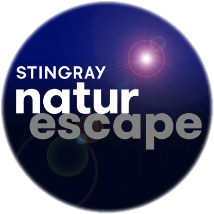 naturescape.png