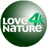 love4k big copy