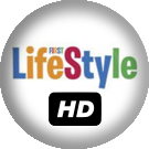 lifestyle big copy.png