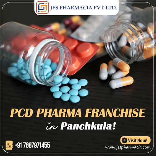 pcd pharma FRanchise in Panchkula.jpg
