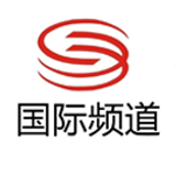 Shenzhen TV big copy