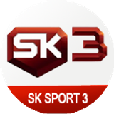 sk3 big copy