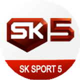 sk5 big copy