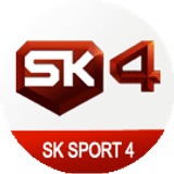 sk4 big copy