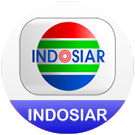 indosiar big copy.png