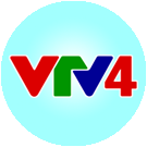 vtv4 big copy.png