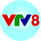 vtv8 big copy.png