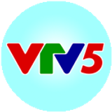 vtv5 big copy