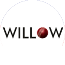 willow big copy.png