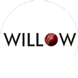 willow big copy