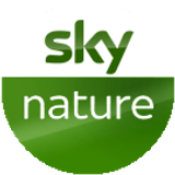 skynature big copy