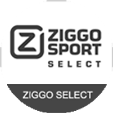 zigoselect big copy