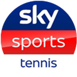 skytennis big copy