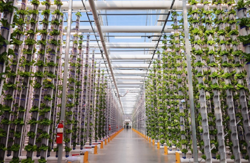 Picture of a Vertical Farm.png