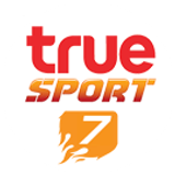 truesport7 big copy
