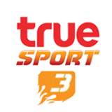 truesport3 big copy