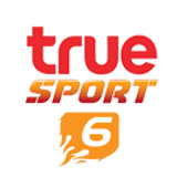 truesport6 big copy