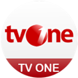 tvone big copy.png