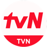 tvn big copy.png