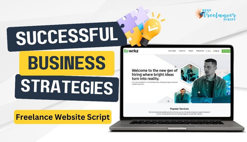 Freelance Website Script: Gateway to a Successful Startup.jpg