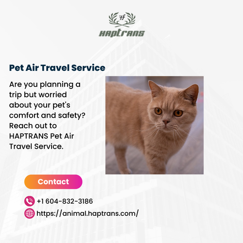 Pet Air Travel Service.png