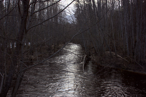 IMG 1339.jpg