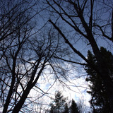 IMG 1354