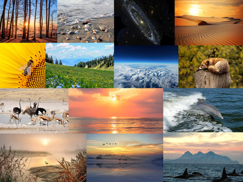 ' Glorified is The Mighty Creator '.jpg