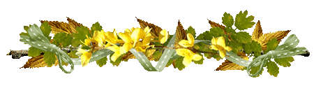 HOORT BIJ DINSDAG M.gif