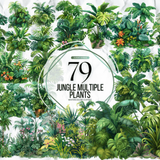 Jungle Multiple Plants Clipart Graphics 93359742 1 580x387