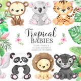 Watercolor Tropical Animals Clipart Graphics 4125839 1 580x387