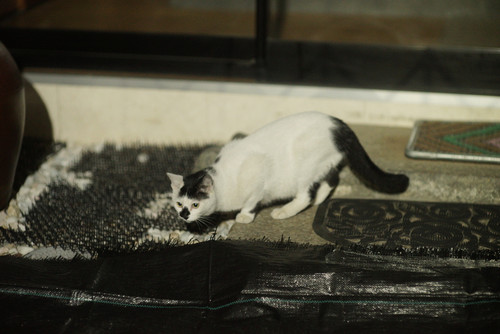 A7SDSC01910.jpg