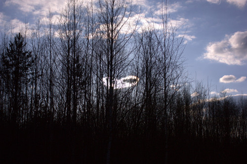 IMG 1396.jpg