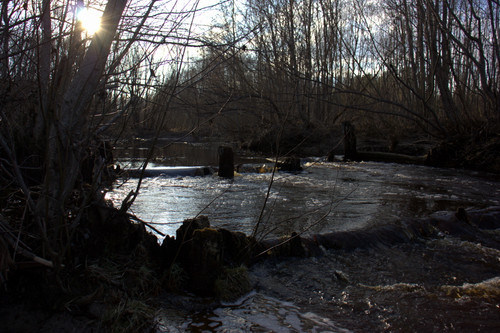 IMG 1384.jpg