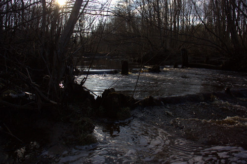 IMG 1385.jpg